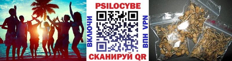 Галлюциногенные грибы Magic Shrooms  Фёдоровский 